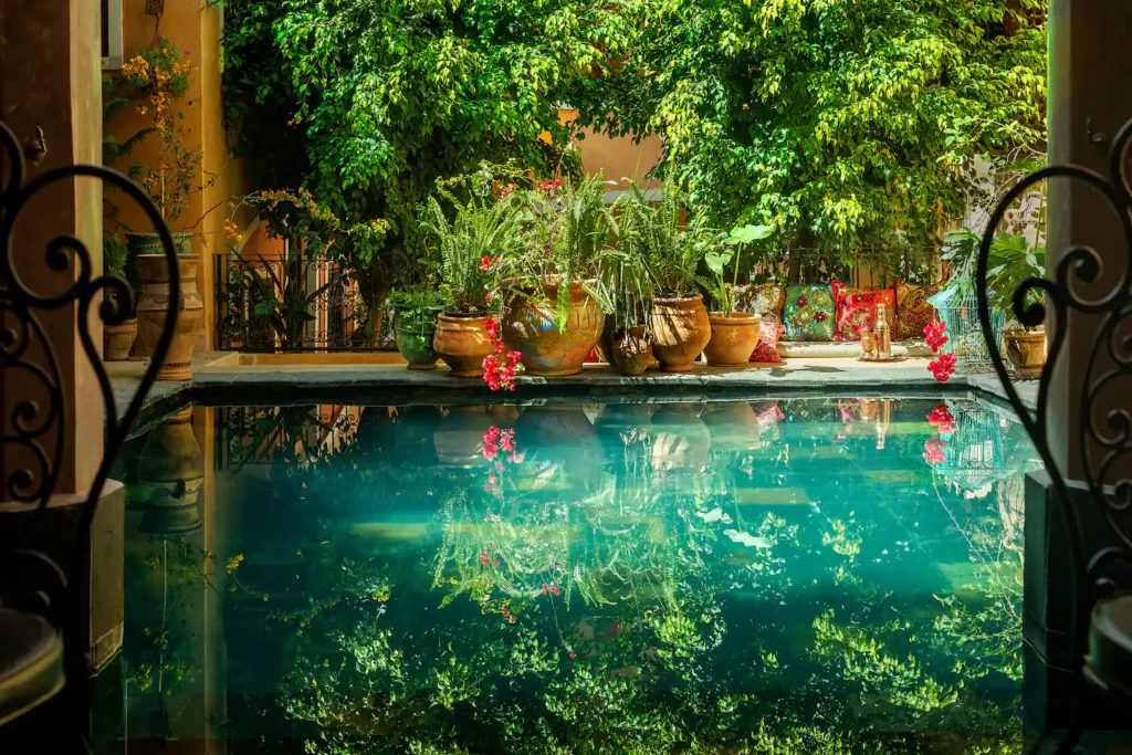 La chambre Fez : patio privé : Riad Roxanne